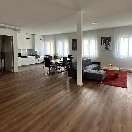 Grosse Einzimmerwohnung/Buero/Showroom Seengen Екстериор снимка